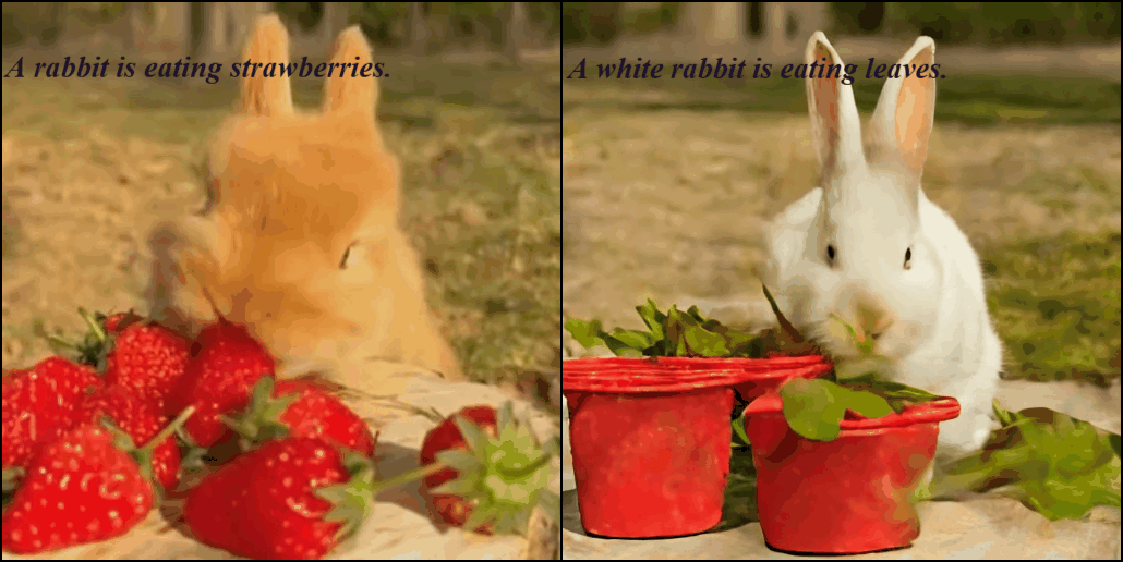 Rabbit with strawberry